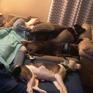 Meet your Posher, Robert